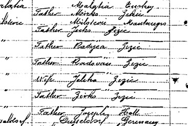 Податак о Жижићима емигриралим у Америку 1914. године